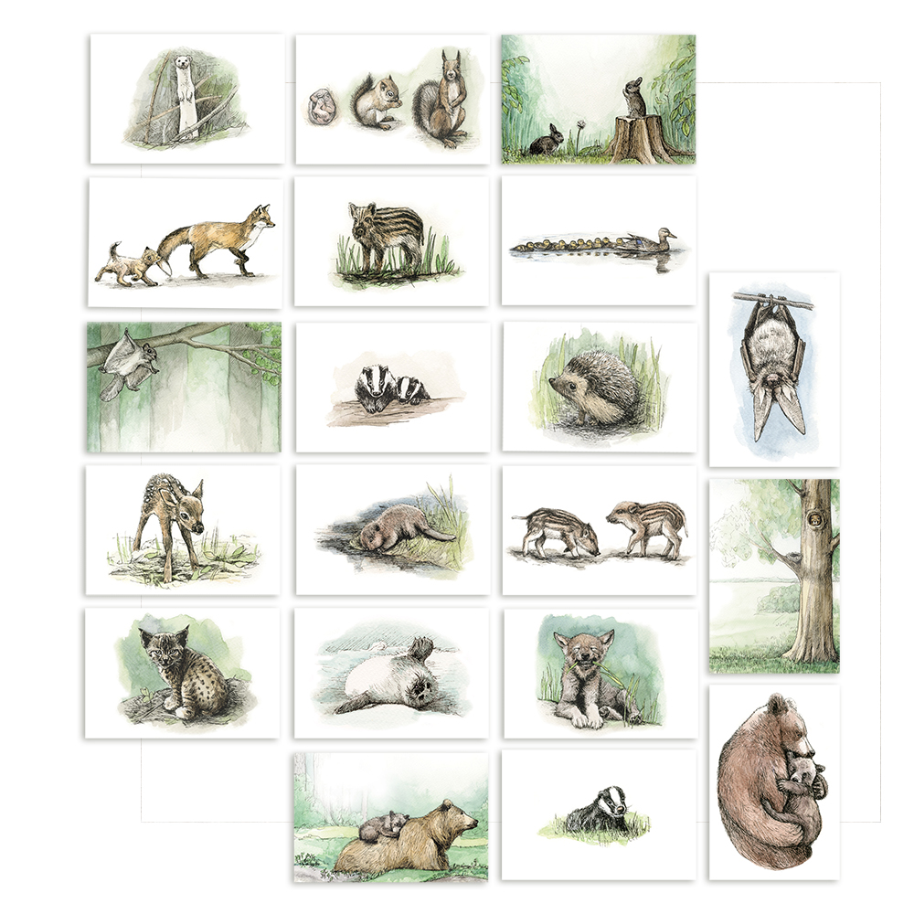 20 eesti loomade laste illustratsioonidega postkaarti